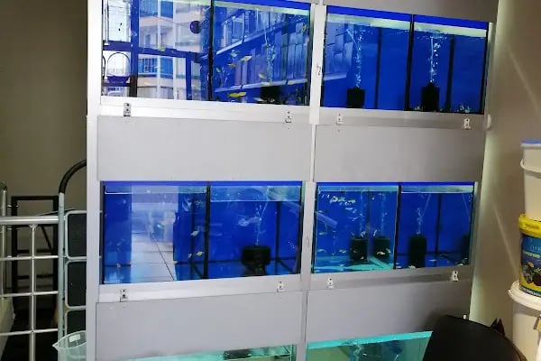 patika petshop - Resim 15