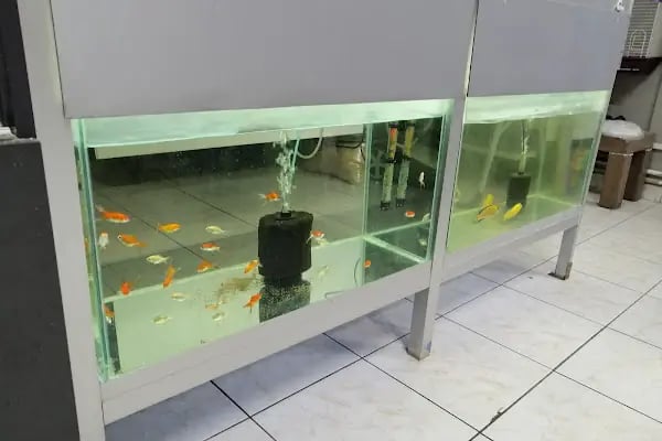 patika petshop - Resim 19