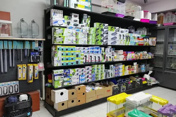 patika petshop - Resim 7