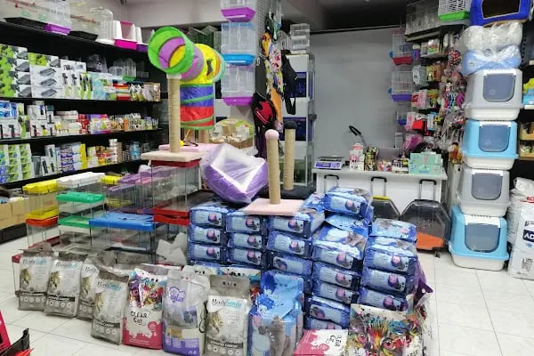 patika petshop - Resim 12