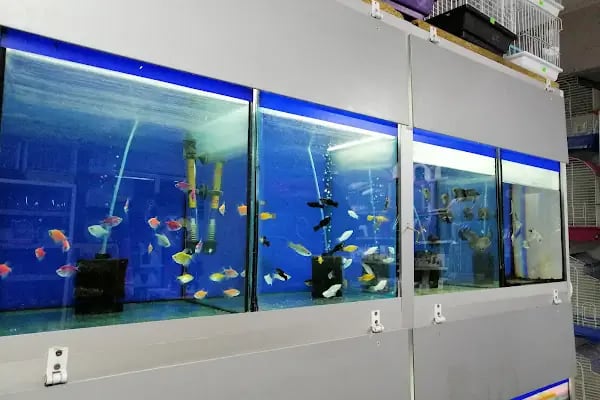 patika petshop - Resim 16