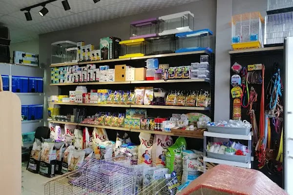 patika petshop - Resim 5