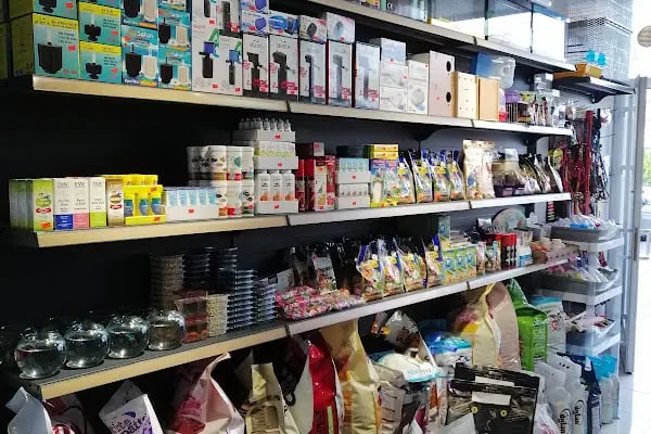 patika petshop - Resim 2