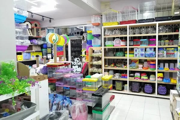 patika petshop - Resim 4