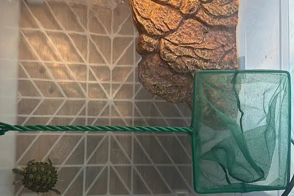 Medusa Petshop &amp; Pet Kuaför - Resim 7