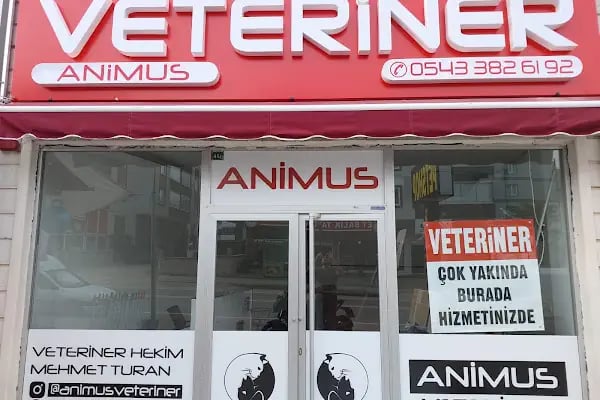 Hamitler Animus Veteriner - Resim 2