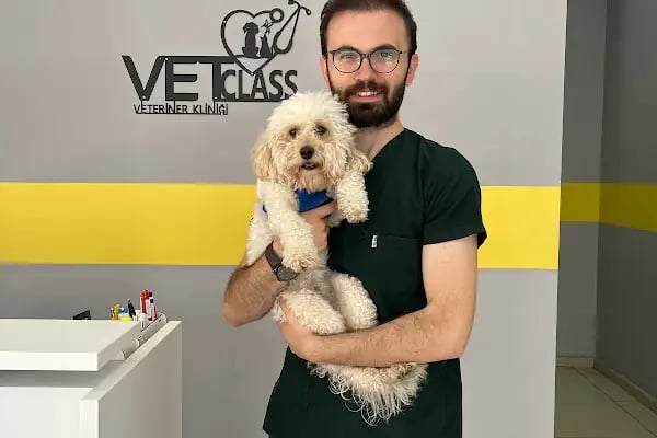 VETCLASS VETERİNER KLİNİĞİ - Resim 10