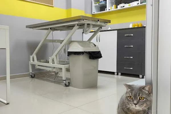 VETCLASS VETERİNER KLİNİĞİ - Resim 19