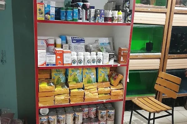 Topçuoğlu Akvaryum Ve Kuş Galerisi - Resim 6