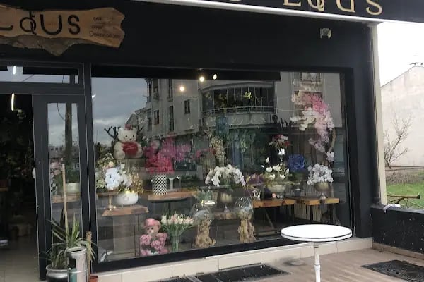 Lotus Çiçek Tasarım Dekorasyon - Resim 3
