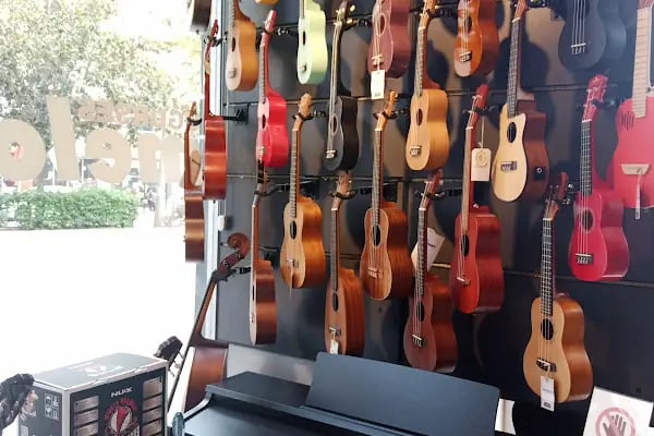 Melodi Müzik Aletleri Barajyolu - Resim 17