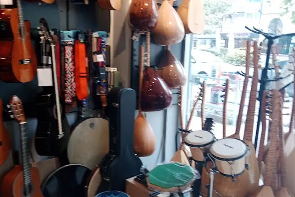 Melodi Müzik Aletleri Barajyolu - Resim 20