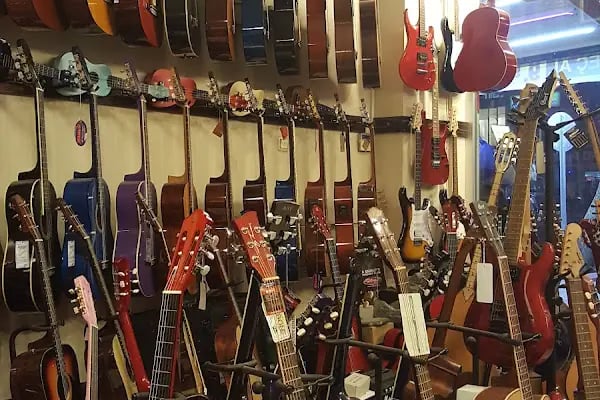Melodi Müzik Aletleri Barajyolu - Resim 3