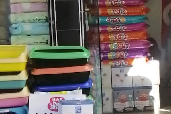Coco's house petshop - Resim 3