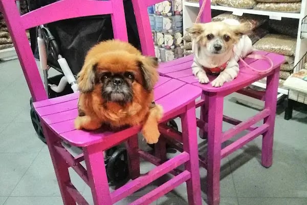 Coco's house petshop - Resim 2
