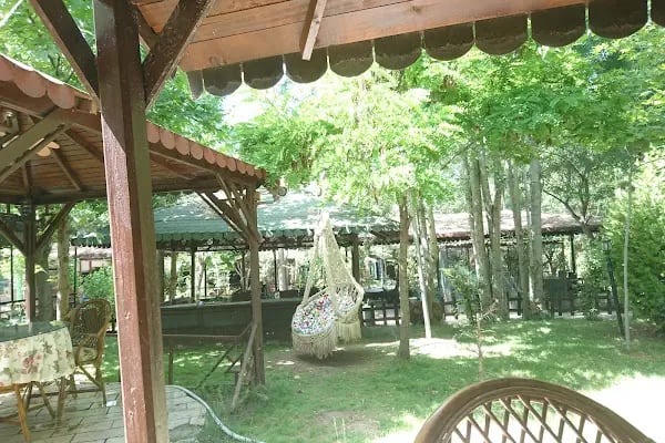 Doktorun Bahçesi - Resim 3