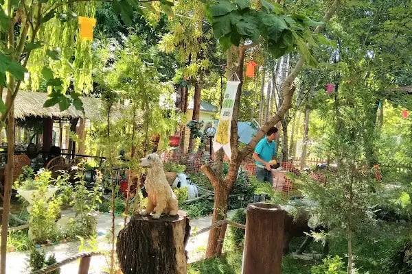 Doktorun Bahçesi - Resim 15