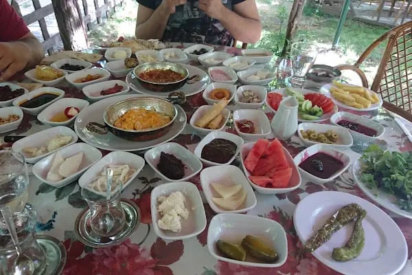 Doktorun Bahçesi - Resim 11