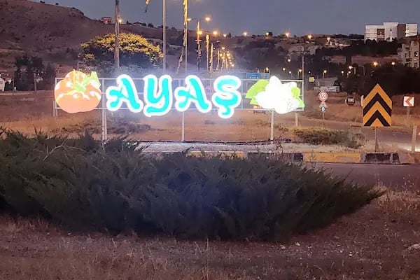 Ayaş Hükümet Konağı - Resim 13