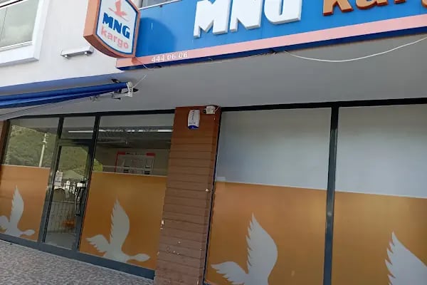 Mng Kargo - Aliağa Şubesi - Resim 2