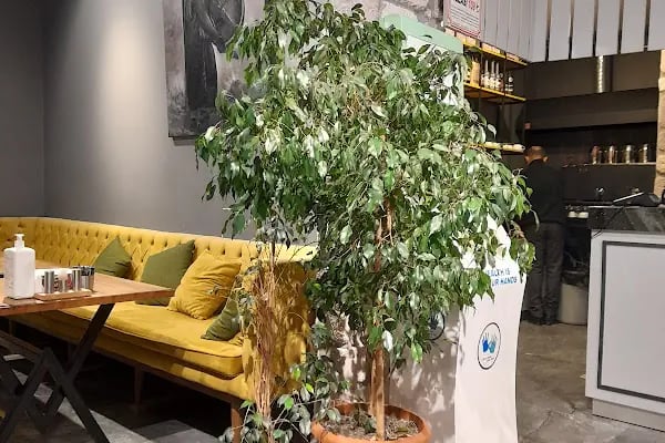 Wix Garden Cafe&amp;Restaurant - Resim 4