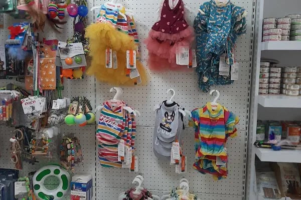 Angel Pet Shop ve Pet Kuaför - Resim 4