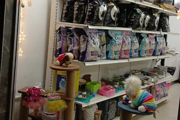 Angel Pet Shop ve Pet Kuaför - Resim 1