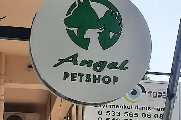 Angel Pet Shop ve Pet Kuaför - Resim 6