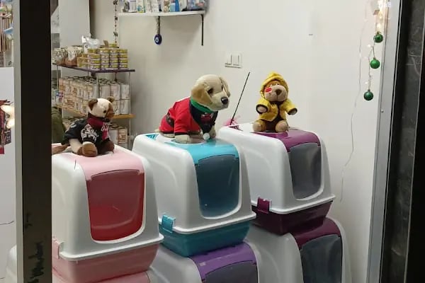 Angel Pet Shop ve Pet Kuaför - Resim 2