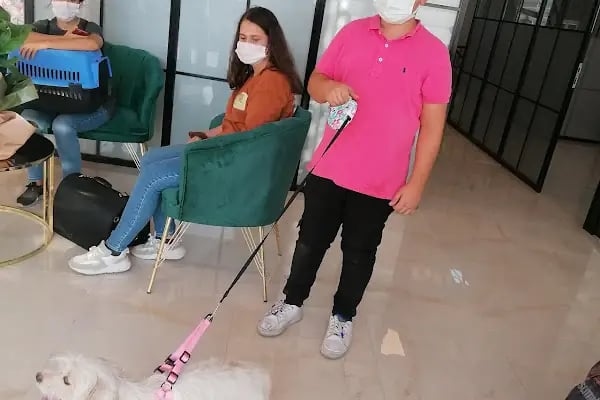 Dr. Pati Veteriner Kliniği - Resim 9