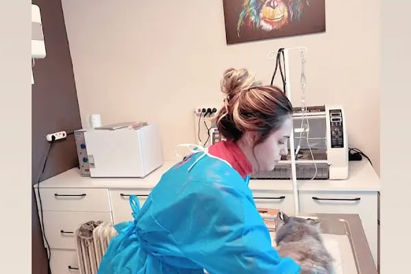Dr. Pati Veteriner Kliniği - Resim 16
