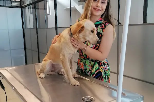 Dr. Pati Veteriner Kliniği - Resim 5