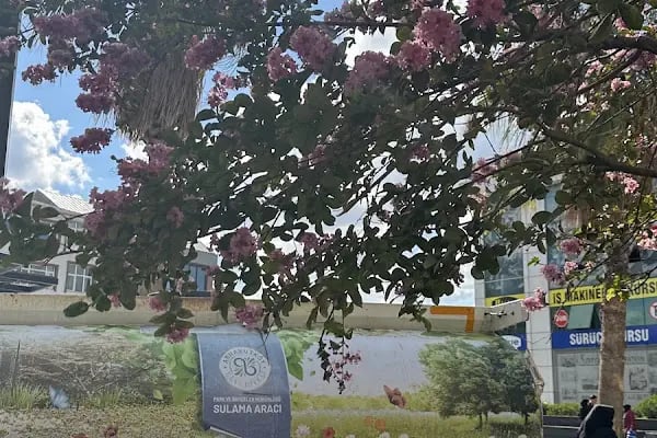 Merkez Lokantası - Resim 19