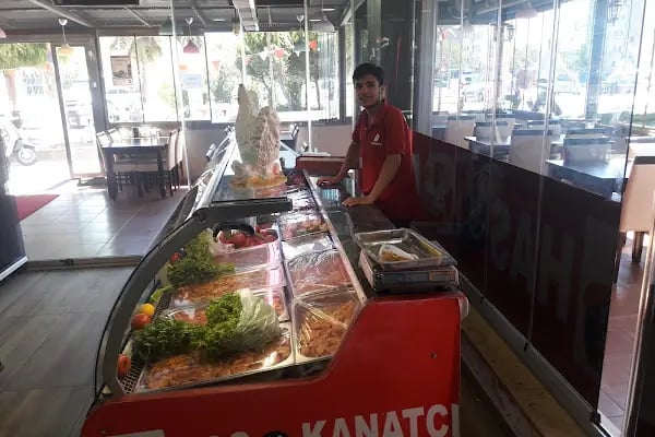 Has Kanatçı - Resim 7