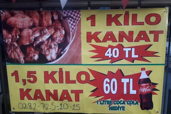 Has Kanatçı - Resim 13