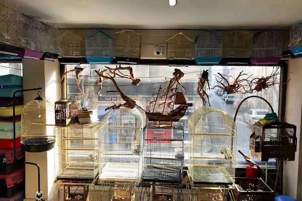 Osmanlı Petshop - Resim 10