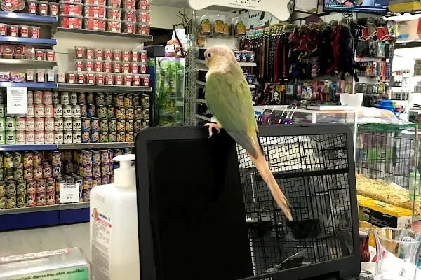 Osmanlı Petshop - Resim 3