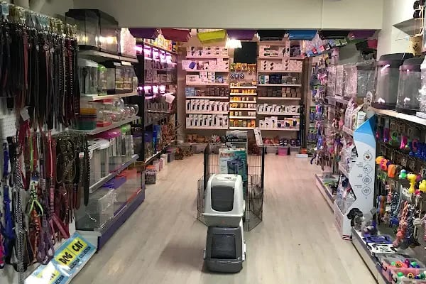 Osmanlı Petshop - Resim 11