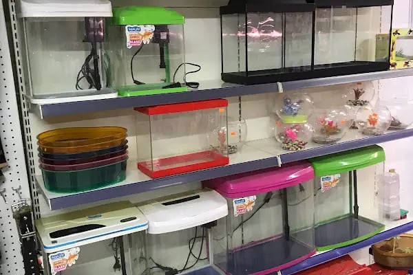 Osmanlı Petshop - Resim 19