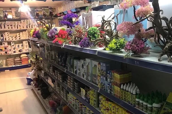 Osmanlı Petshop - Resim 6