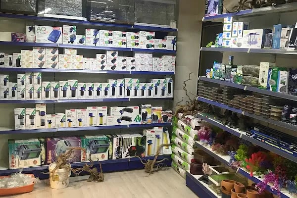 Osmanlı Petshop - Resim 15