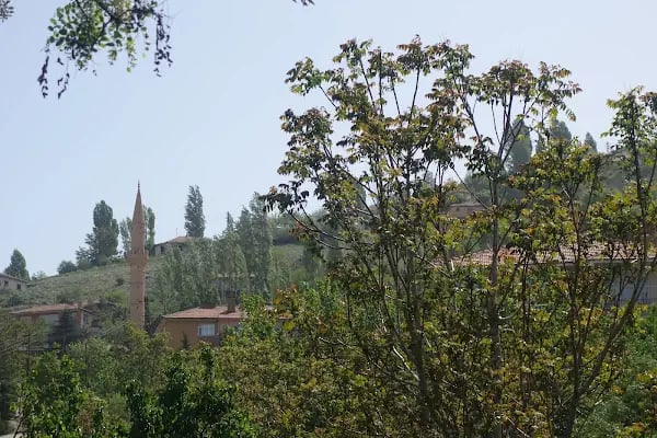 Solfasol Mahallesi Muhtarlığı - Resim 4