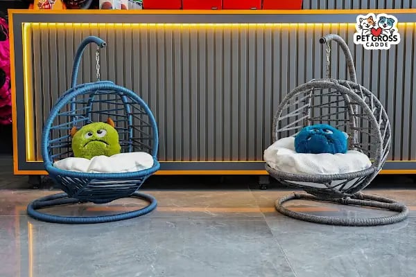 Pet Gross Cadde Petshop - Resim 5