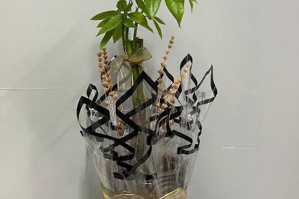 Zila Flowers - Resim 4