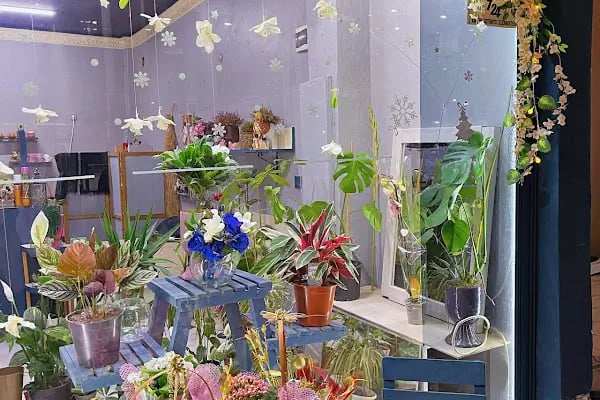 Zila Flowers - Resim 7