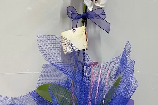 Zila Flowers - Resim 17