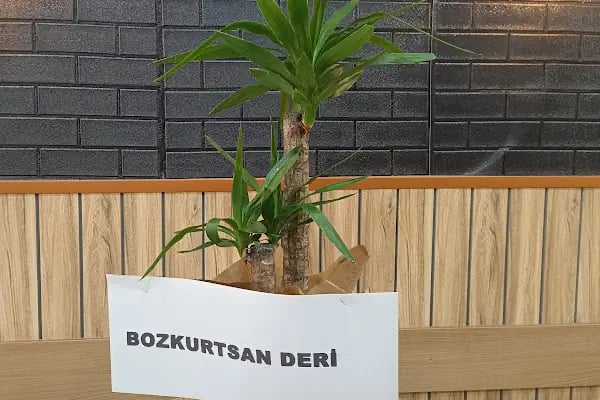 Akademi çiçekçilik - Resim 12