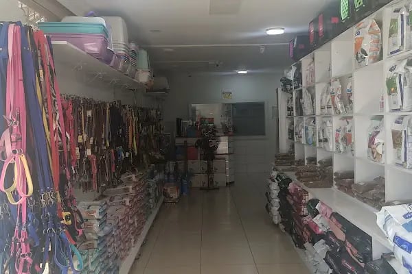 A Vet Avrupa Veteriner Kliniği - Resim 5