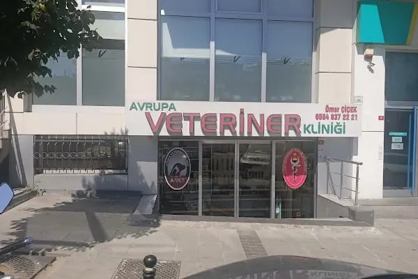 A Vet Avrupa Veteriner Kliniği - Resim 11