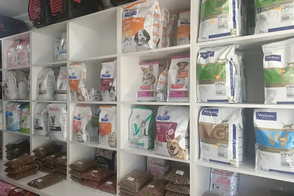 A Vet Avrupa Veteriner Kliniği - Resim 14